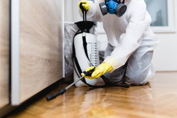 Best Wasp Removal Services  in Oaklawn Sunview, KS