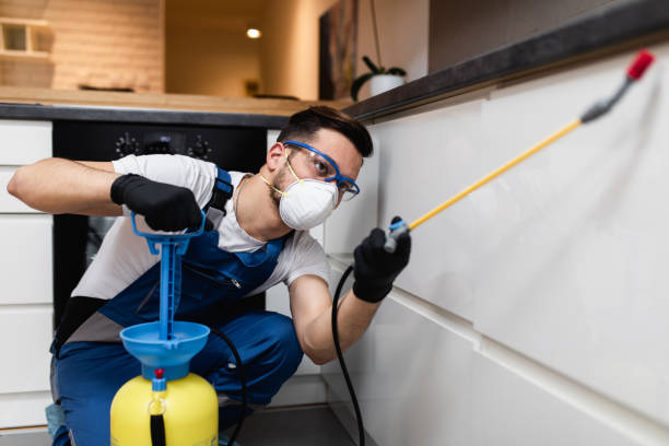 Flea Control Services in Oaklawn Sunview, KS
