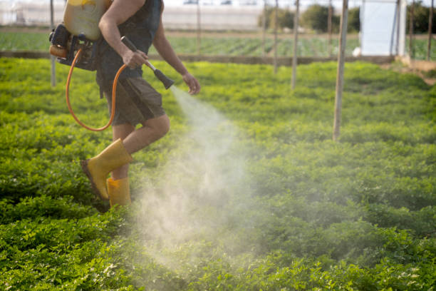 Best Commercial Pest Control Services  in Oaklawn Sunview, KS