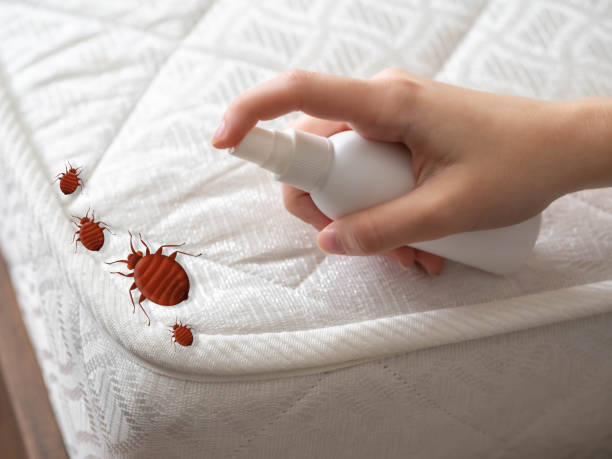 Best Affordable Pest Control Services  in Oaklawn Sunview, KS