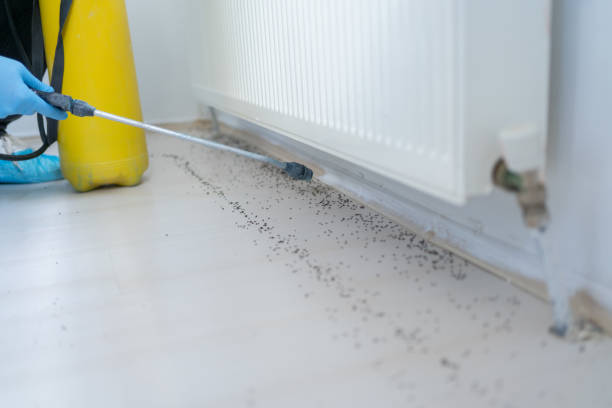 Best Best Pest Control Near Me  in Oaklawn Sunview, KS