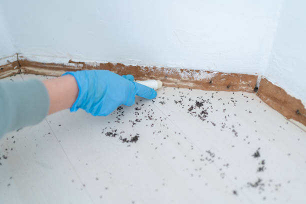 Best Best Pest Control Companies  in Oaklawn Sunview, KS